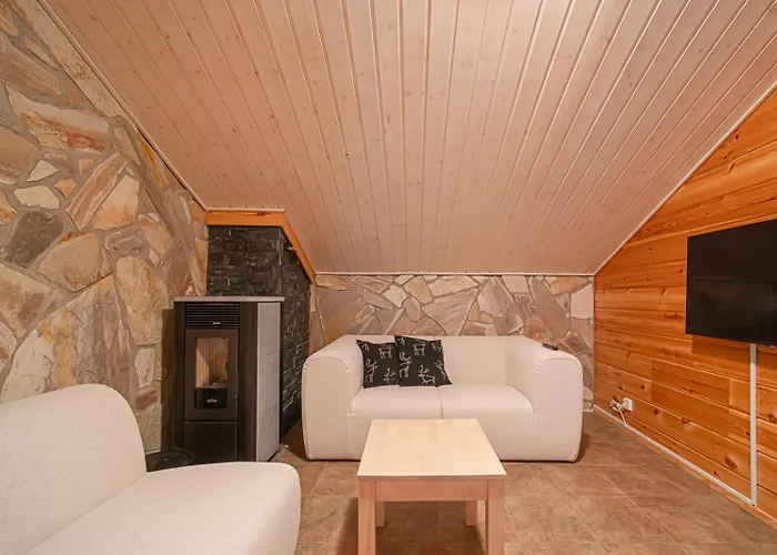 Icehaven By Aavalevi 公寓 列维